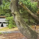 7 Person In Ulfborg-by Traum *