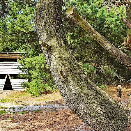 7 Person In Ulfborg-by Traum *